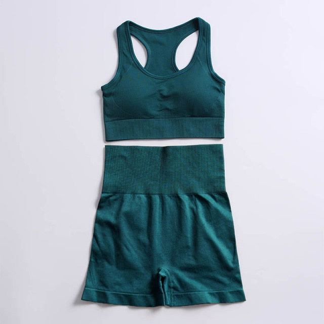 Athletic 2pcs Seamless Yoga Set for Women - FabFemina