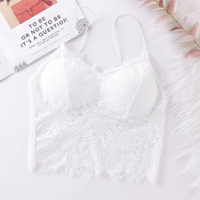 Sexy Push Up Bralette - FabFemina